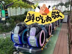 -南宫五洲植物乐园