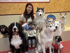 -和它·交个朋友·狗咖猫咖(爱琴海店)