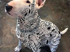 -阳光钱柜KTV(八一路店)