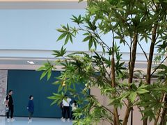 -泸州万象汇
