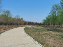 -东郊湿地公园