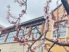 -王府井奥莱临潼小镇(临潼店)