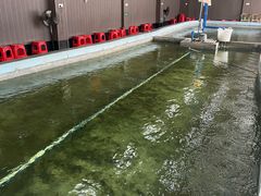 -光头佬室内钓虾场·烧烤·团建·亲子(中山八路店)
