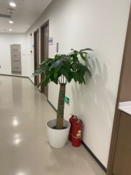 -丰联丽格医疗美容·联合丽格眼整形中心