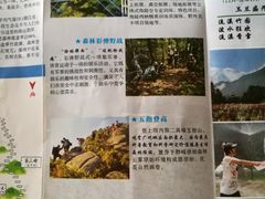 -广州市流溪河国家森林公园