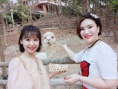 -清迈夜间动物园