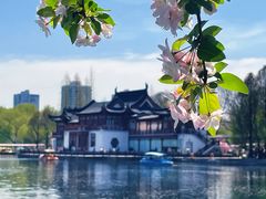 -莫愁湖公园