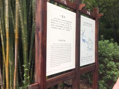 -武夷山风景名胜区-虎啸岩