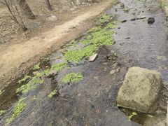 -白水寺森林公园