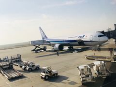 -全日本空输株式会社(上海办事处)