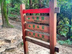 -火炉山森林公园