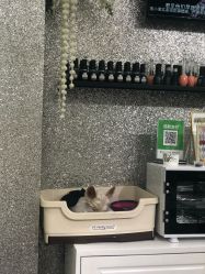 -LEILEI NAIL蕾蕾美甲美睫