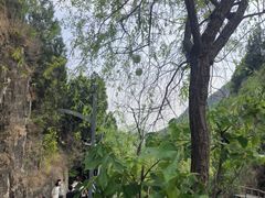 -狼牙山风景区