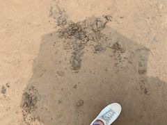 -东戴河风景区-止锚湾