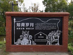 -上海长兴岛郊野公园