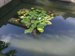 景点-宁波茶文化博物院