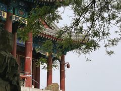 -颐和园