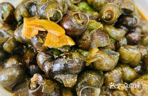 Flavorful Snail