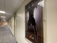 -健身专家Wellness Experts