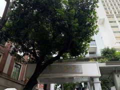 -香港大学