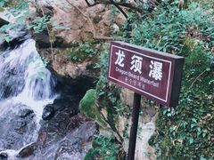 -藏龙百瀑风景区