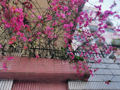 -人民公园(罗湖区)