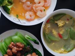 -田螺阿姨自营月嫂·育儿嫂(高新店)