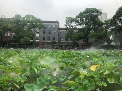 -四川大学(望江校区)