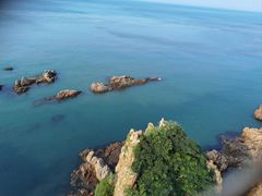 -摩天岭风景区