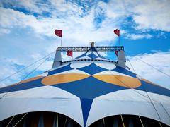 -海合安天津极地海洋公园