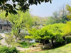-南京古林公园