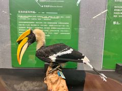 -昆明动物博物馆