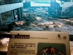 -自贡恐龙博物馆