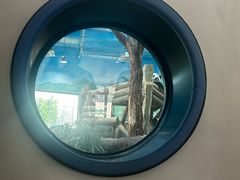 -秦皇岛野生动物园