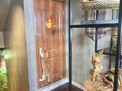 -Siam泰餐厅(水上公园店)