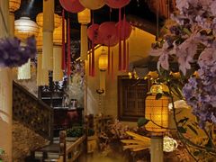 -叶叶菩提(太原别墅店)