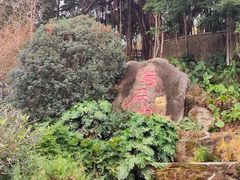 -乌山风景区