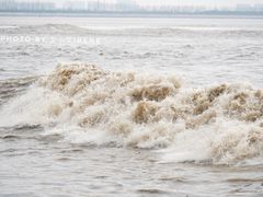 -观潮胜地公园