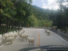 -白草畔自然风景区