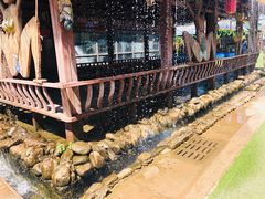 -北京呀路古热带植物园