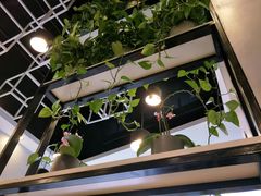 -宝小庆邵阳米粉(深圳市南山保利店)