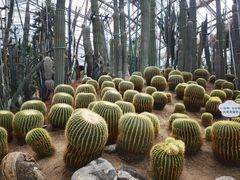 -南山植物园