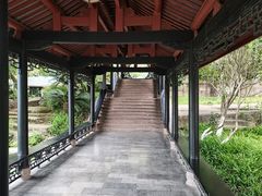 -桂湖森林公园