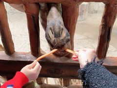 -长鹿旅游休博园