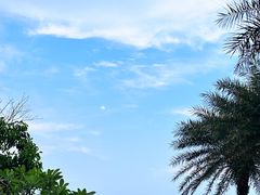 -汕头中海黄金海岸水上乐园