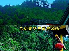 -南山植物园