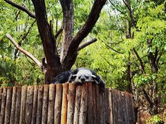 -昆明动物园