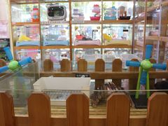-宠物兔专门店(天丰利市场店)