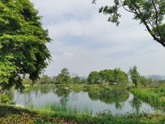 -良渚古城遗址公园