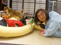 -逗柴咖啡屋·狗咖猫咖宠物桌游